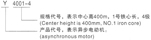 西安泰富西玛Y系列(H355-1000)高压YKK4501-2GJ三相异步电机型号说明