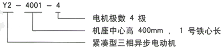 YR系列(H355-1000)高压YKK4501-2GJ三相异步电机西安西玛电机型号说明